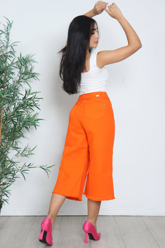 Jean culotte ref 212128